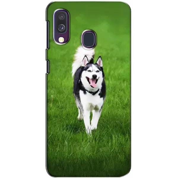 Чехол с принтом «Радостный Хаски» для Samsung Galaxy A40 2019 (A405F) Чехол с принтом «Радостный Хаски» для Samsung Galaxy A40 2019 (A405F)