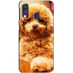 Чохли з собаками для Samsung Galaxy A40 2019 (A405F) (VPrint) (Цуценя Бішон)