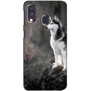 Чохол з Хаскі Samsung Galaxy A40 2019 (A405F) - (AlphaPrint) (Вірний собака)