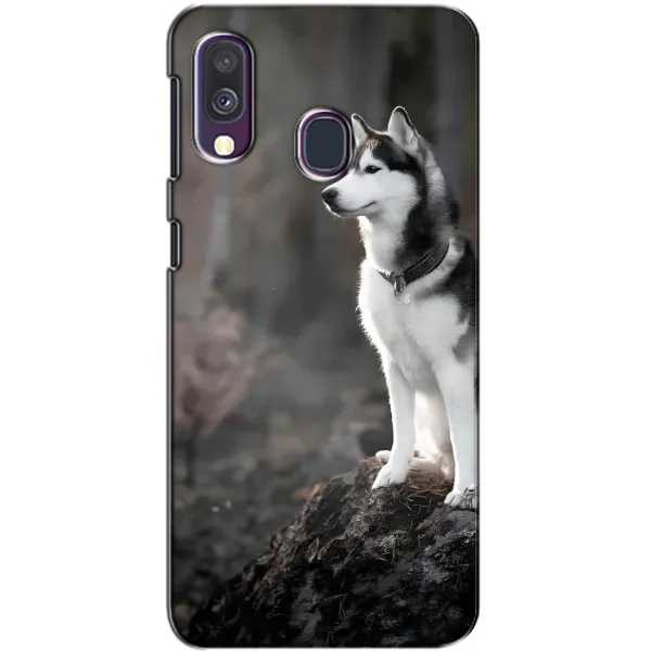 Чехол с принтом «Верный пес» для Samsung Galaxy A40 2019 (A405F) Чехол с принтом «Верный пес» для Samsung Galaxy A40 2019 (A405F)