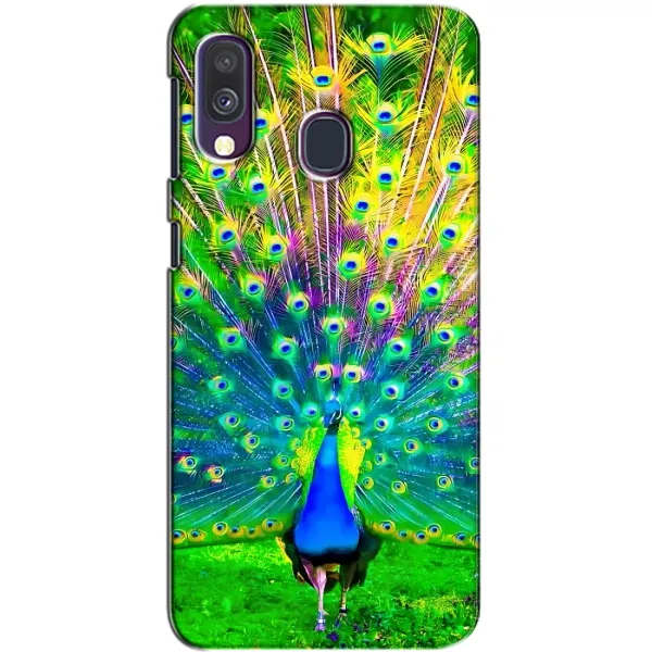 Чохол з принтом «Яскравий Павлин» для Samsung Galaxy A40 2019 (A405F)