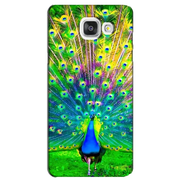 Чехол с принтом «Яркий Павлин» для Samsung Galaxy A5 2016 (A5100, A510F)