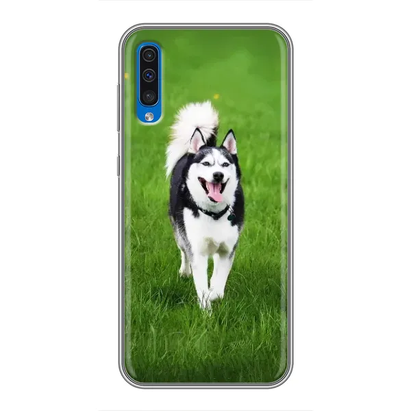 Чехол с принтом «Радостный Хаски» для Samsung Galaxy A50 2019 (A505F) Чехол с принтом «Радостный Хаски» для Samsung Galaxy A50 2019 (A505F)