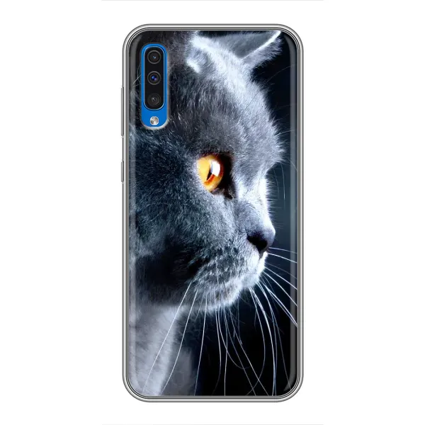 Чехол с принтом «Серый Кот» для Samsung Galaxy A50 2019 (A505F) Чехол с принтом «Серый Кот» для Samsung Galaxy A50 2019 (A505F)