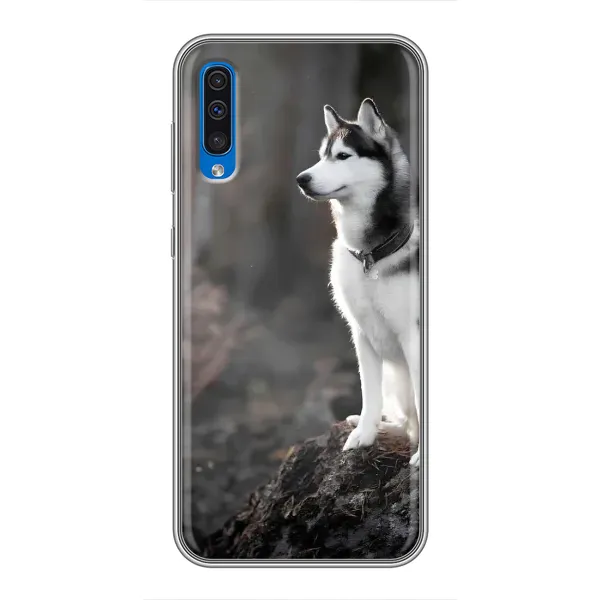 Чехол с принтом «Верный пес» для Samsung Galaxy A50 2019 (A505F) Чехол с принтом «Верный пес» для Samsung Galaxy A50 2019 (A505F)