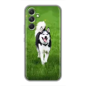 Чохол з Хаскі Samsung Galaxy A54 - (AlphaPrint) (Радісний Хаскі)
