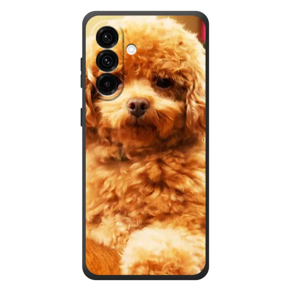Чехол с принтом «Щенок Бишон» для Samsung Galaxy A57