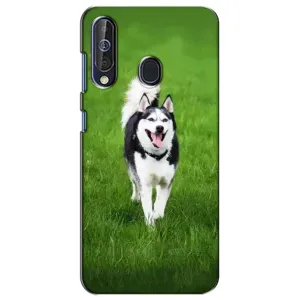 Чохол з Хаскі Samsung Galaxy A60 2019 (A605F) - (AlphaPrint) (Радісний Хаскі)