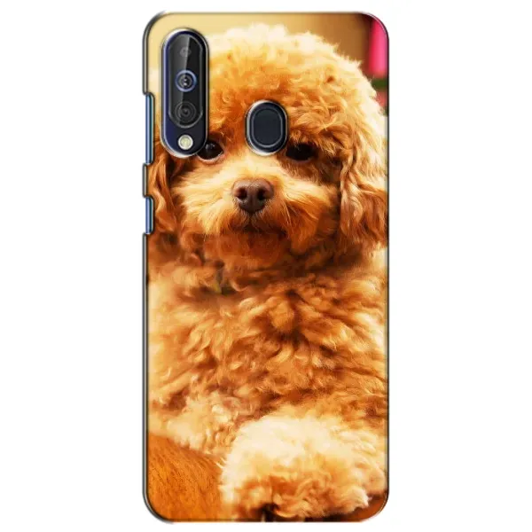 Чехол с принтом «Щенок Бишон» для Samsung Galaxy A60 2019 (A605F) Чехол с принтом «Щенок Бишон» для Samsung Galaxy A60 2019 (A605F)