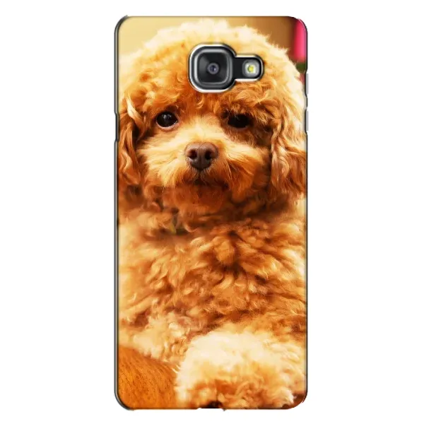 Чохол з принтом «Цуценя Бішон» для Samsung Galaxy A7 2016 (A7100, A710F) Чохол з принтом «Цуценя Бішон» для Samsung Galaxy A7 2016 (A7100, A710F)