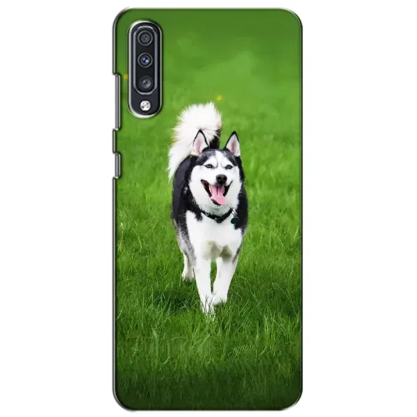 Чехол с принтом «Радостный Хаски» для Samsung Galaxy A70 2019 (A705F)