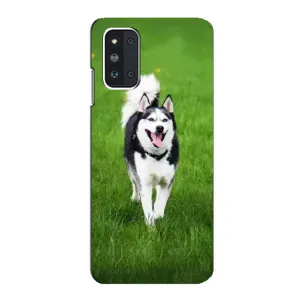 Чохол з Хаскі Samsung Galaxy F52 5G (E526) - (AlphaPrint) (Радісний Хаскі)