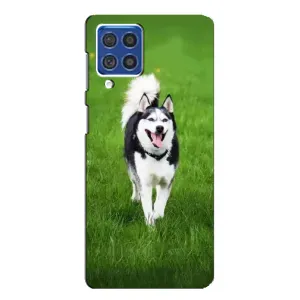 Чехол с Хаски для Samsung Galaxy F62 - (AlphaPrint) (Радостный Хаски)