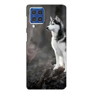 Чехол с Хаски для Samsung Galaxy F62 - (AlphaPrint) (Верный пес)