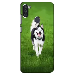 Чехол с Хаски для Samsung Galaxy M11 - (AlphaPrint) (Радостный Хаски)