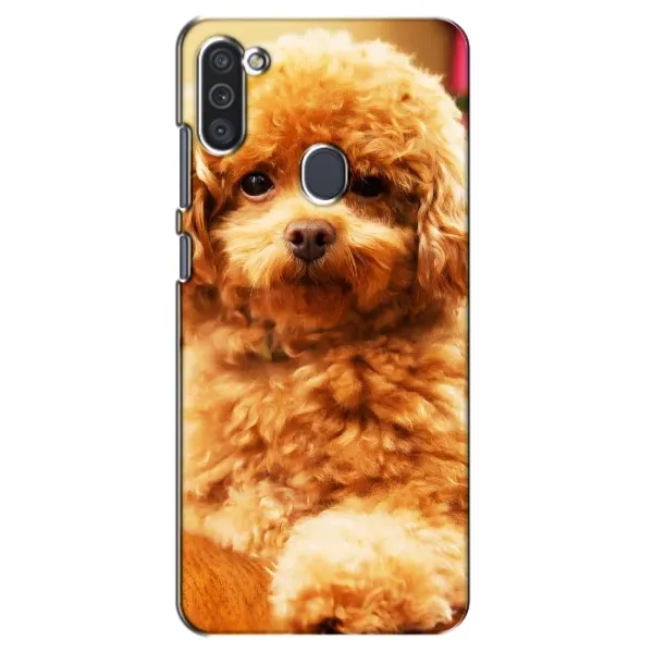 Чохол з принтом «Цуценя Бішон» для Samsung Galaxy M11