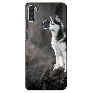 Чехол с Хаски для Samsung Galaxy M11 - (AlphaPrint) (Верный пес)