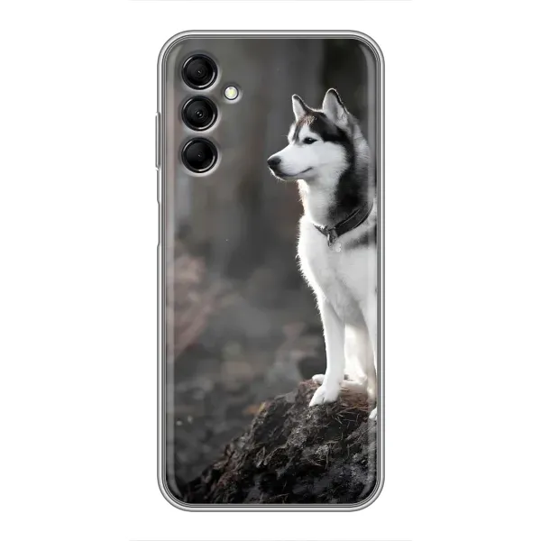 Чохол з принтом «Вірний собака» для Samsung Galaxy M14 5g (M146) Чохол з принтом «Вірний собака» для Samsung Galaxy M14 5g (M146)