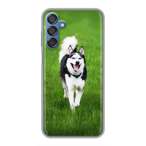 Чехол с принтом «Радостный Хаски» для Samsung Galaxy M15 (M156)