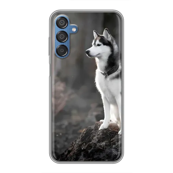 Чехол с принтом «Верный пес» для Samsung Galaxy M15 (M156)