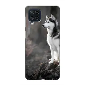Чохол з Хаскі Samsung Galaxy M22 - (AlphaPrint) (Вірний собака)