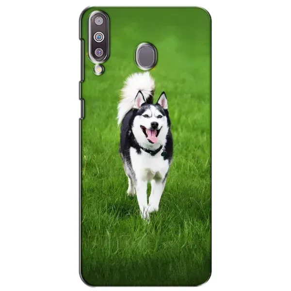 Чехол с принтом «Радостный Хаски» для Samsung Galaxy M30 (M305)