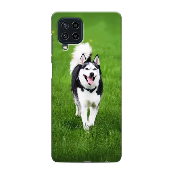 Чохол з принтом «Радісний Хаскі» для Samsung Galaxy M32 Чохол з принтом «Радісний Хаскі» для Samsung Galaxy M32