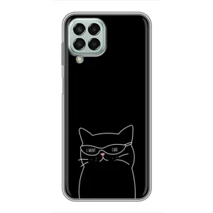 Чехол с рисунком кот на Samsung Galaxy M33 (5G) (M336B) (Равнодушный кот)