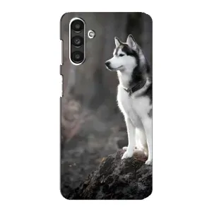Чехол с Хаски для Samsung Galaxy M34 (5G) - (AlphaPrint) (Верный пес)