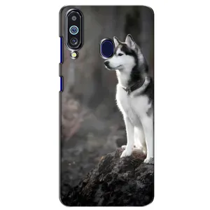 Чехол с Хаски для Samsung Galaxy M40 - (AlphaPrint) (Верный пес)