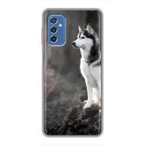 Чохол з Хаскі Samsung Galaxy M52 5G (M526) - (AlphaPrint) (Вірний собака)