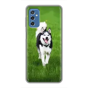 Чехол с Хаски для Samsung Galaxy M52 - (AlphaPrint) (Радостный Хаски)