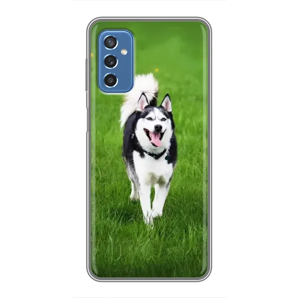Чехол с принтом «Радостный Хаски» для Samsung Galaxy M52 Чехол с принтом «Радостный Хаски» для Samsung Galaxy M52