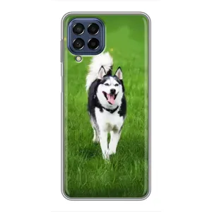 Чохол з Хаскі Samsung Galaxy M53 (5G) (M536B) - (AlphaPrint) (Радісний Хаскі)