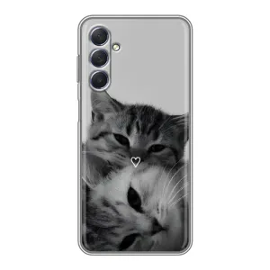 Чохол з малюнком кіт на Sansung Galaxy M54 (5G) (Пара котів)