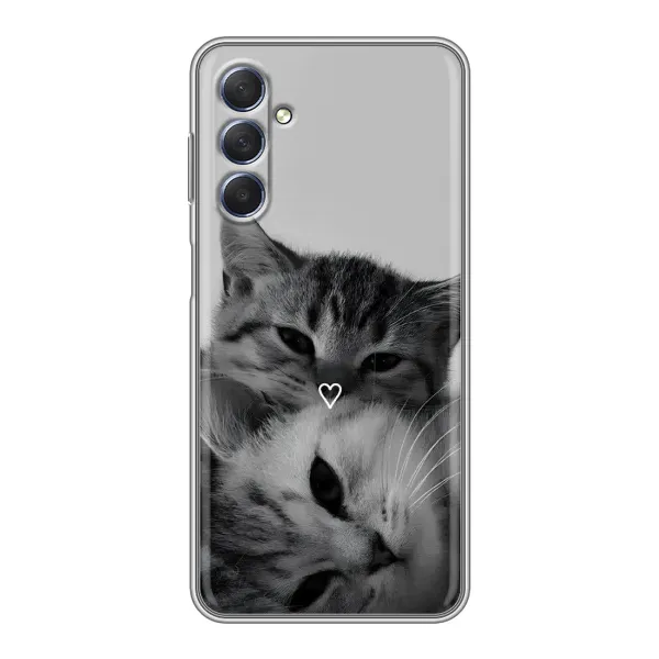 Чохол з принтом «Пара котів» для Samsung Galaxy M54 (5G)