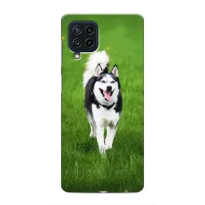 Чохол з Хаскі Samsung Galaxy M62 - (AlphaPrint) (Радісний Хаскі)
