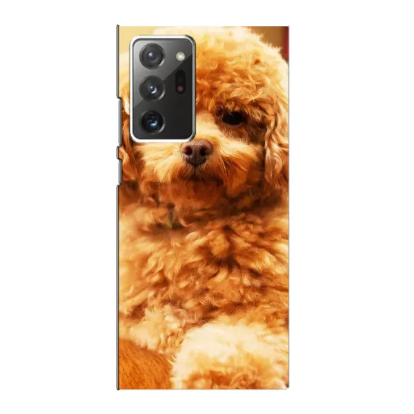 Чехол с принтом «Щенок Бишон» для Samsung Galaxy Note 20 Ultra