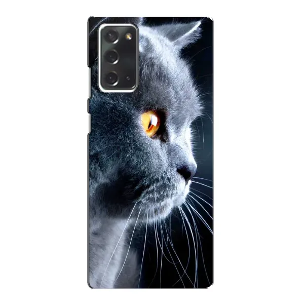 Чохол з принтом «Сірий Кіт» для Samsung Galaxy Note 20