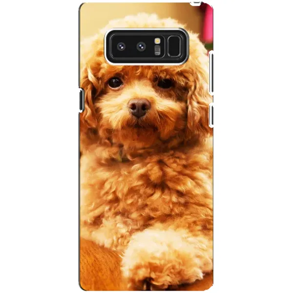 Чохол з принтом «Цуценя Бішон» для Samsung Galaxy Note 8 (N950)