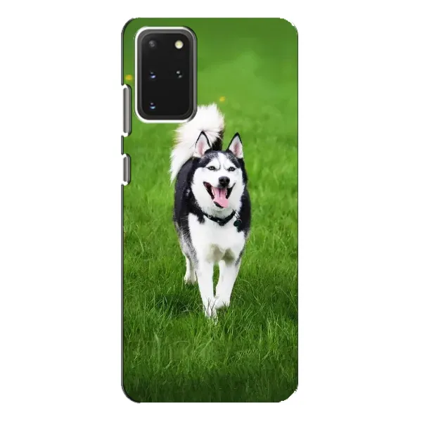 Чехол с принтом «Радостный Хаски» для Samsung Galaxy S20 Plus