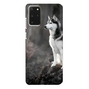 Чехол с Хаски для Samsung Galaxy S20 Plus - (AlphaPrint) (Верный пес)