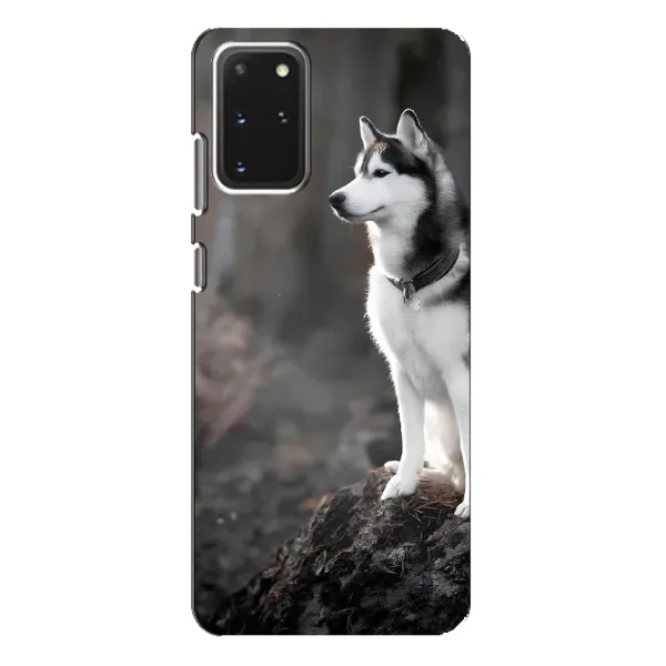 Чехол с принтом «Верный пес» для Samsung Galaxy S20 Plus