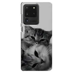 Чохол з малюнком кіт на Samsung Galaxy S20 Ultra (Пара котів)