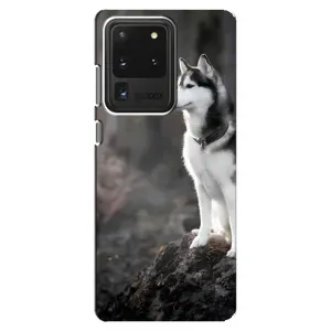 Чохол з Хаскі Samsung Galaxy S20 Ultra - (AlphaPrint) (Вірний собака)