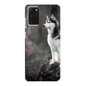 Чохол з Хаскі Samsung Galaxy S20 - (AlphaPrint) (Вірний собака)