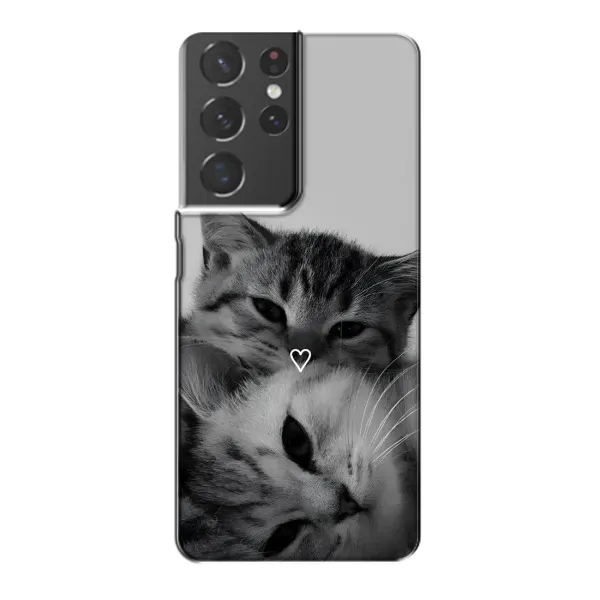 Чохол з принтом «Пара котів» для Samsung Galaxy S21 Plus