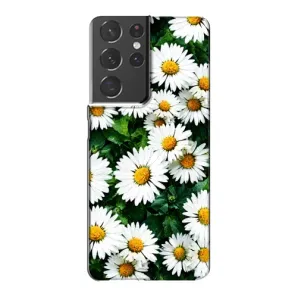 Чохол з картинкою (Стильні) Самсунг Галаксі S21 Plus - (AlphaPrint) (Ромашки)