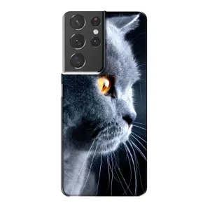 Чохли з Котиками для Samsung Galaxy S21 Plus (VPrint) (Сірий Кіт)