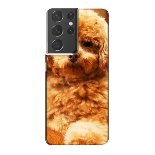 Чехол с принтом «Щенок Бишон» для Samsung Galaxy S21 Plus